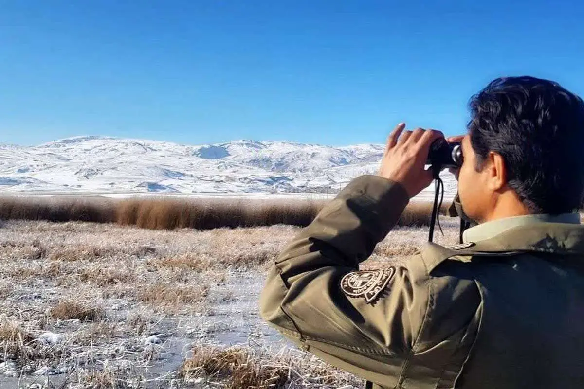تالابهای چالدران در حال یخ زدن هستند؛ احتمال مهاجرت پرندگان