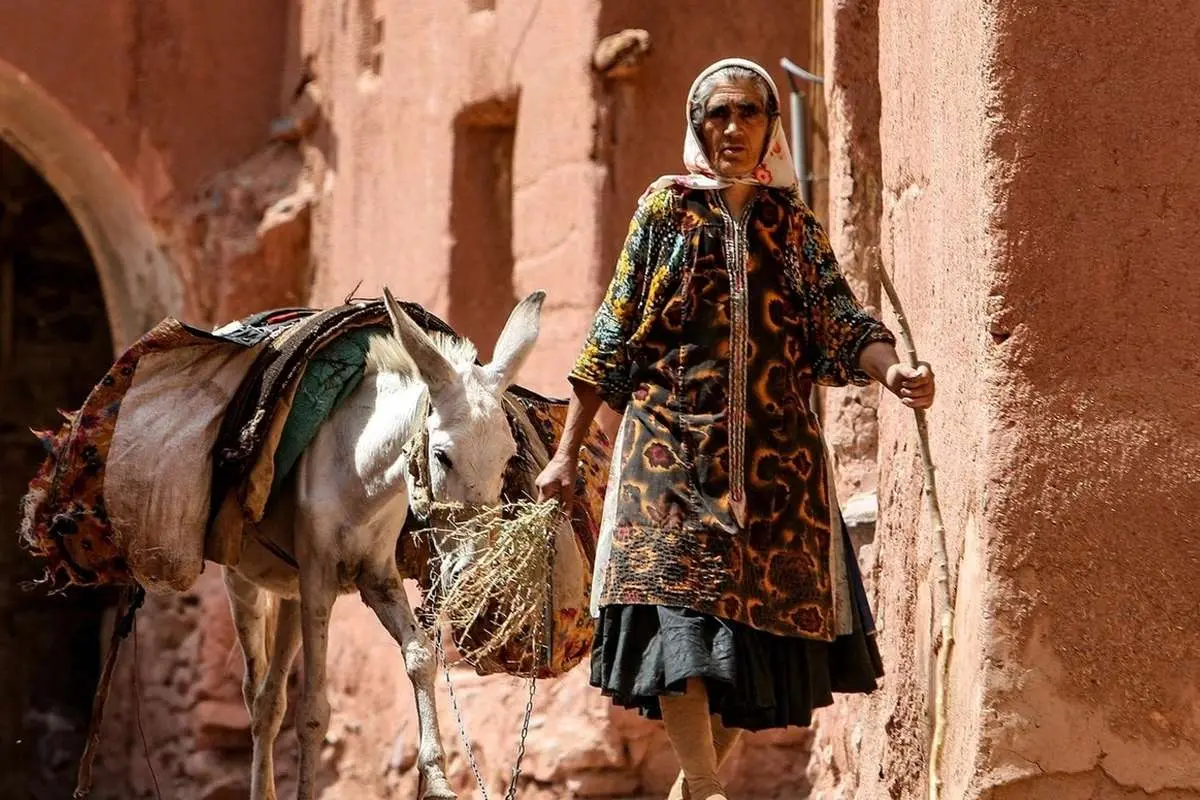 (تصاویر) چشمنوازی پاییز در روستای تاریخی ابیانه