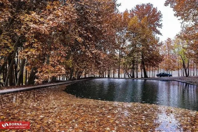 گالری