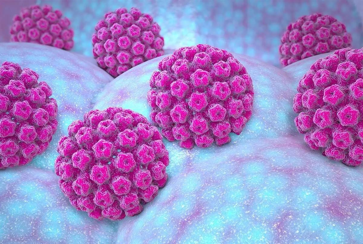 HPV ویروس فوق‏‌محرمانه؛ از هر ۱۰ نفر ۷ نفر اچ‌پی‌وی مثبت دارند