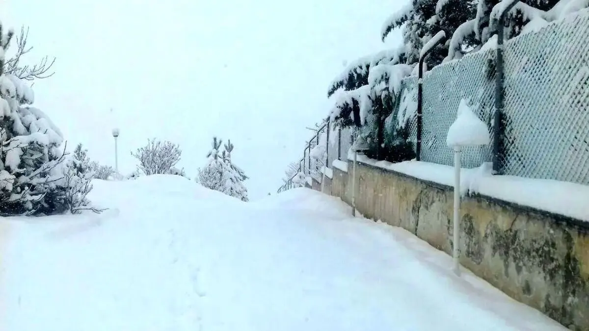 (ویدئو) بارش برف در جواهرده رامسر