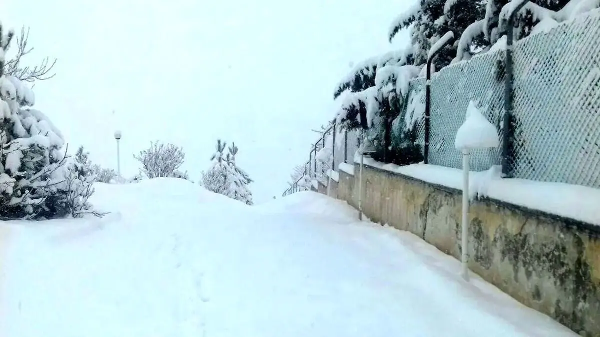 (ویدئو) بارش برف در جواهرده رامسر