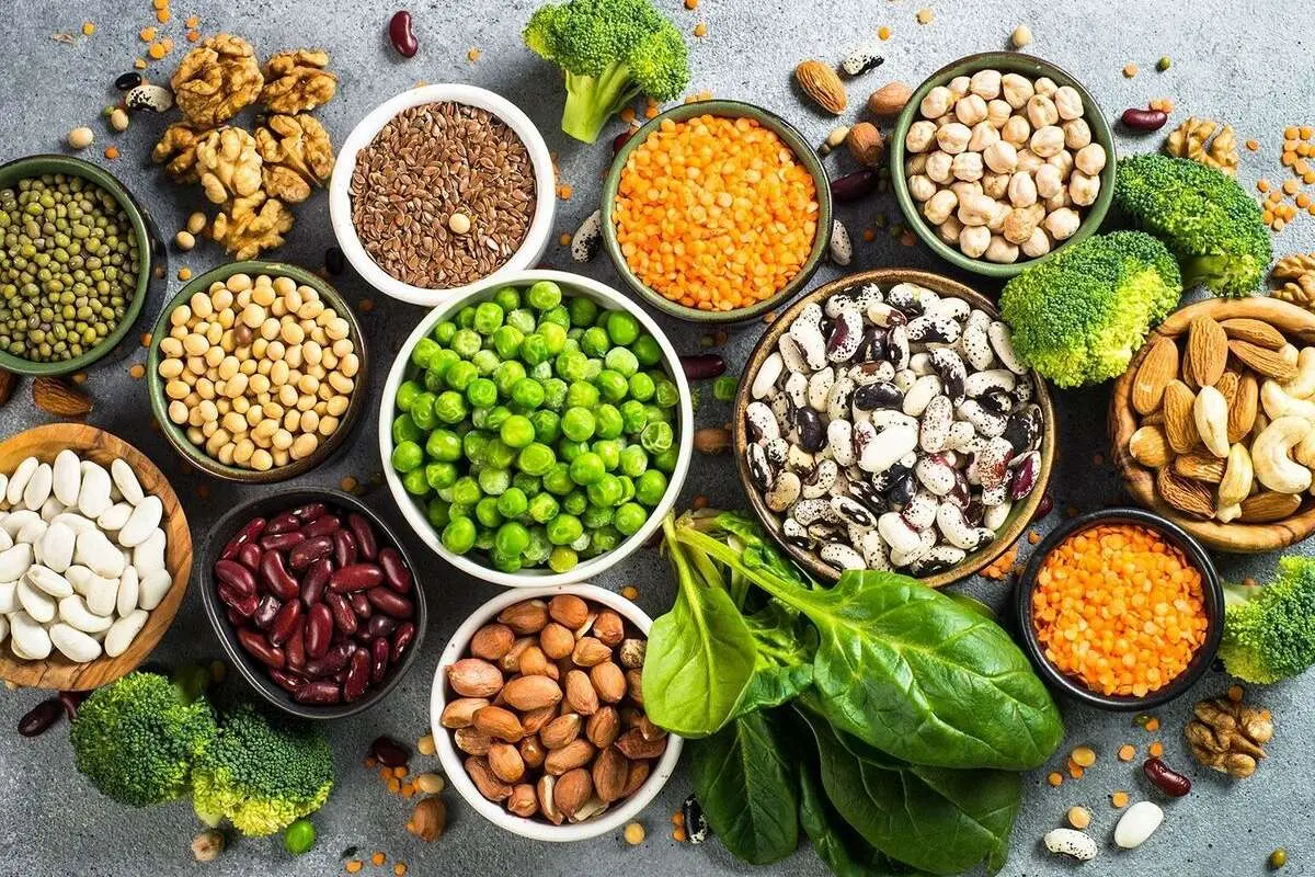 سالمترین نوع پروتئین گیاهی کدام است؟