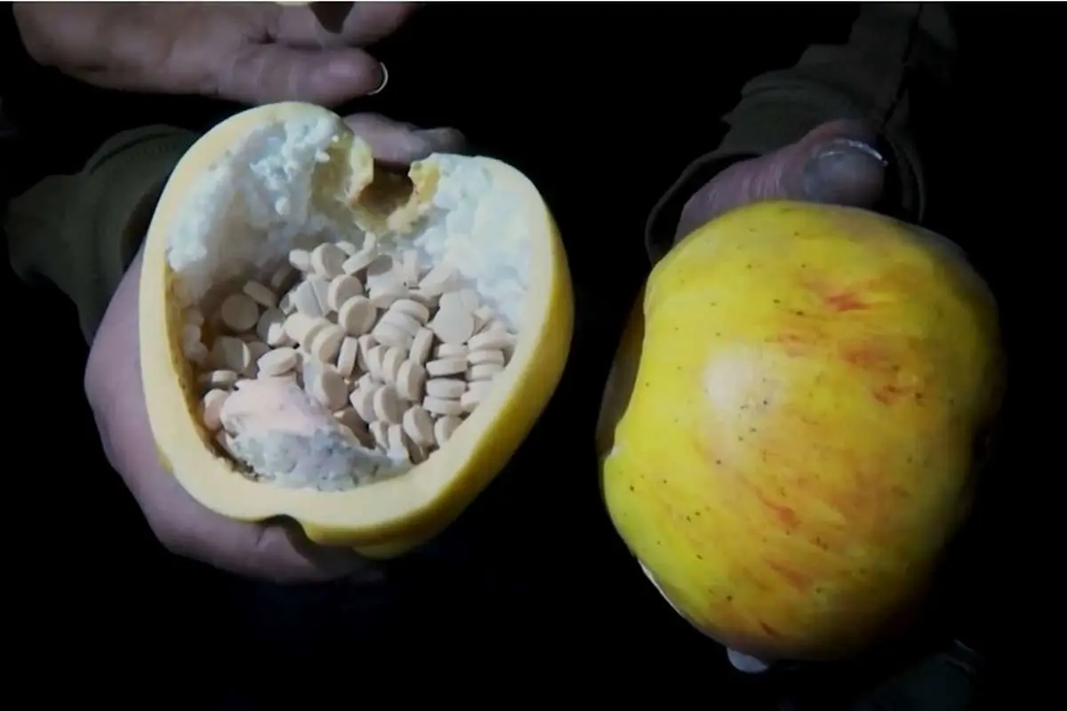 (ویدئو) کشف آزمایشگاه مواد مخدر صنعتی در دمشق