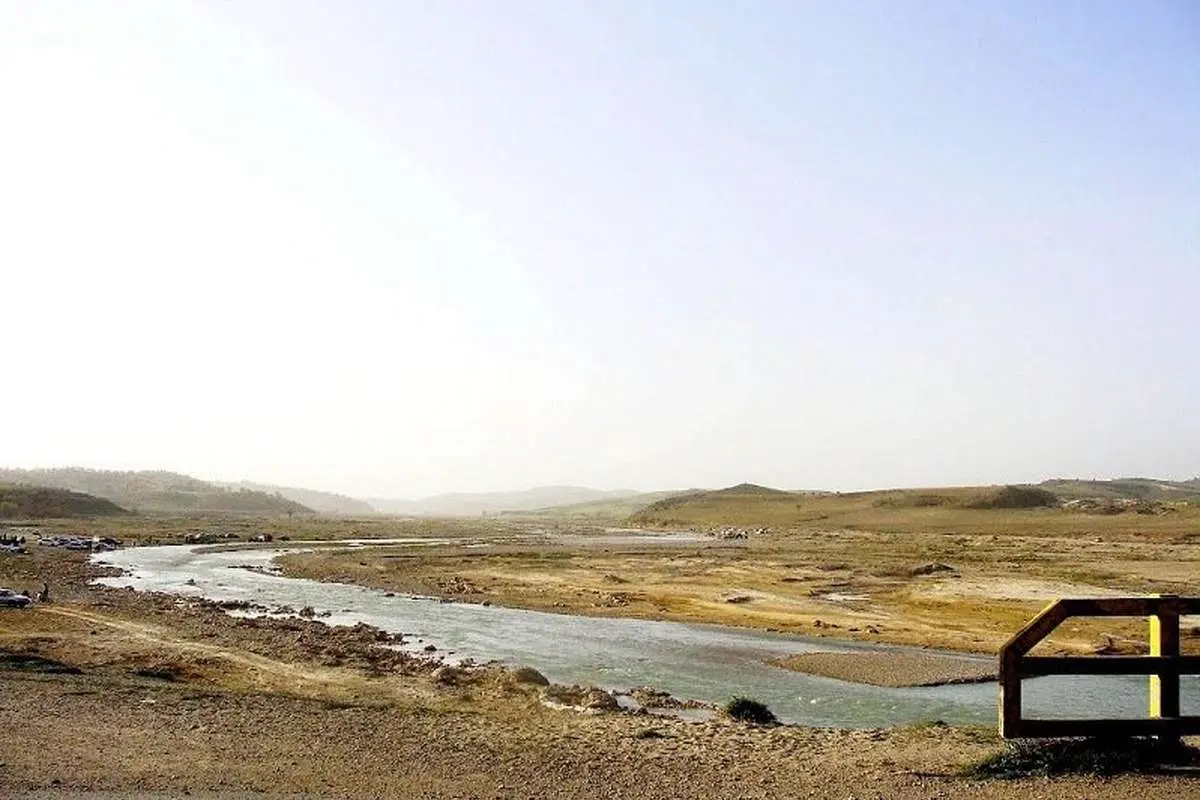 (ویدئو) فاجعه دردناک در فارس؛ ۵ میلیون قطعه ماهی تلف شدند