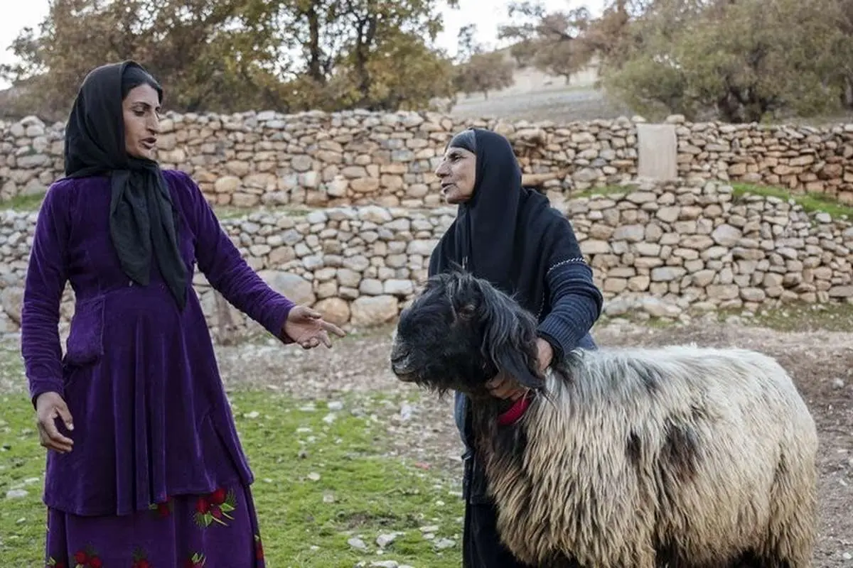 (تصاویر) گشتی در دهستان احمدفداله