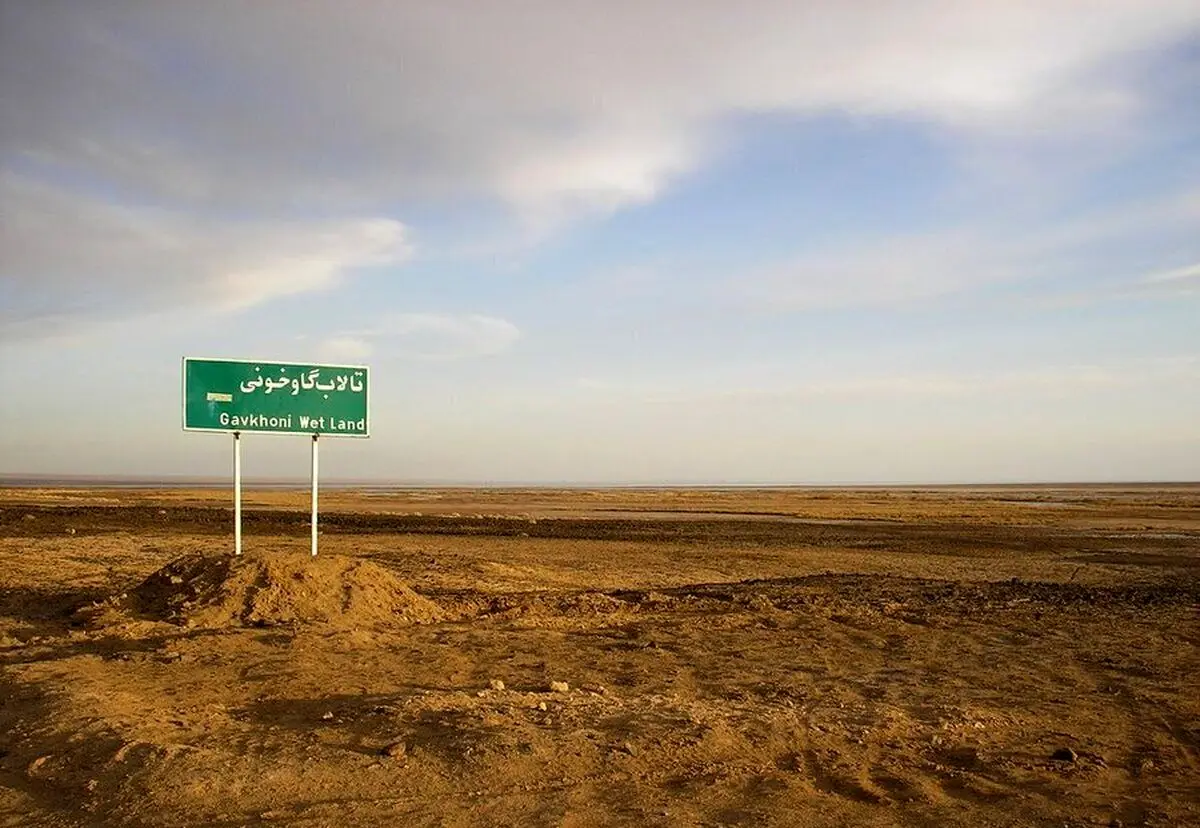 (ویدئو) «هیچ»؛ سهم گاوخونی از زاینده‌رود