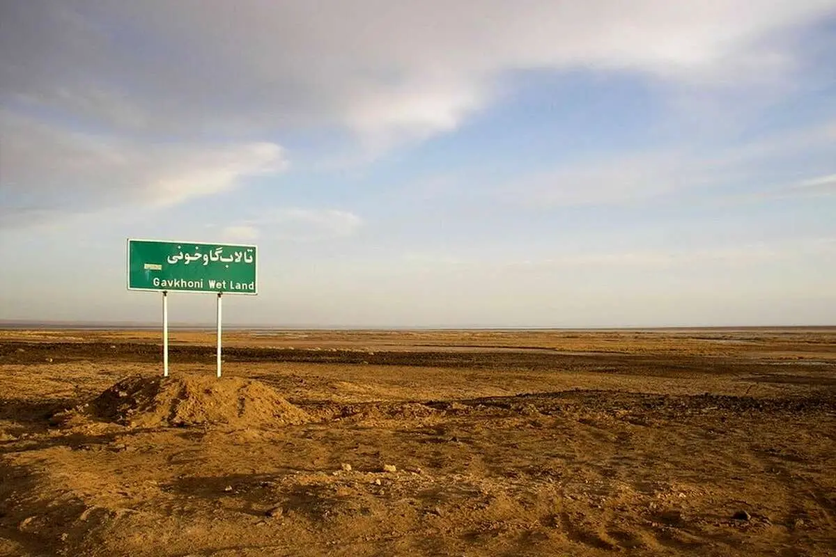 (ویدئو) «هیچ»؛ سهم گاوخونی از زایندهرود