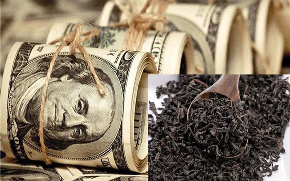 جزییاتی از پرونده چای دبش؛ توقیف  ۵۰۰ میلیارد تومان طلا