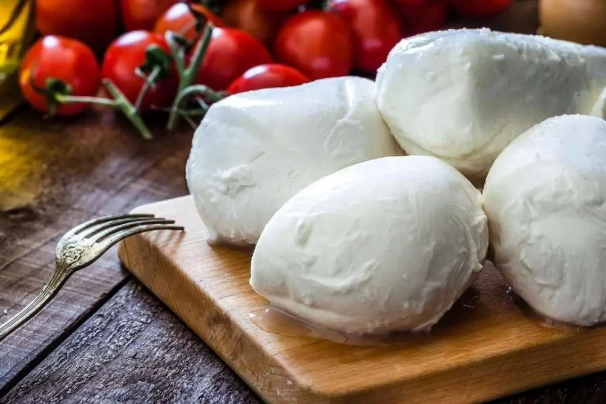 (ویدئو) پنیر موزارلا چگونه تولید می شود؟