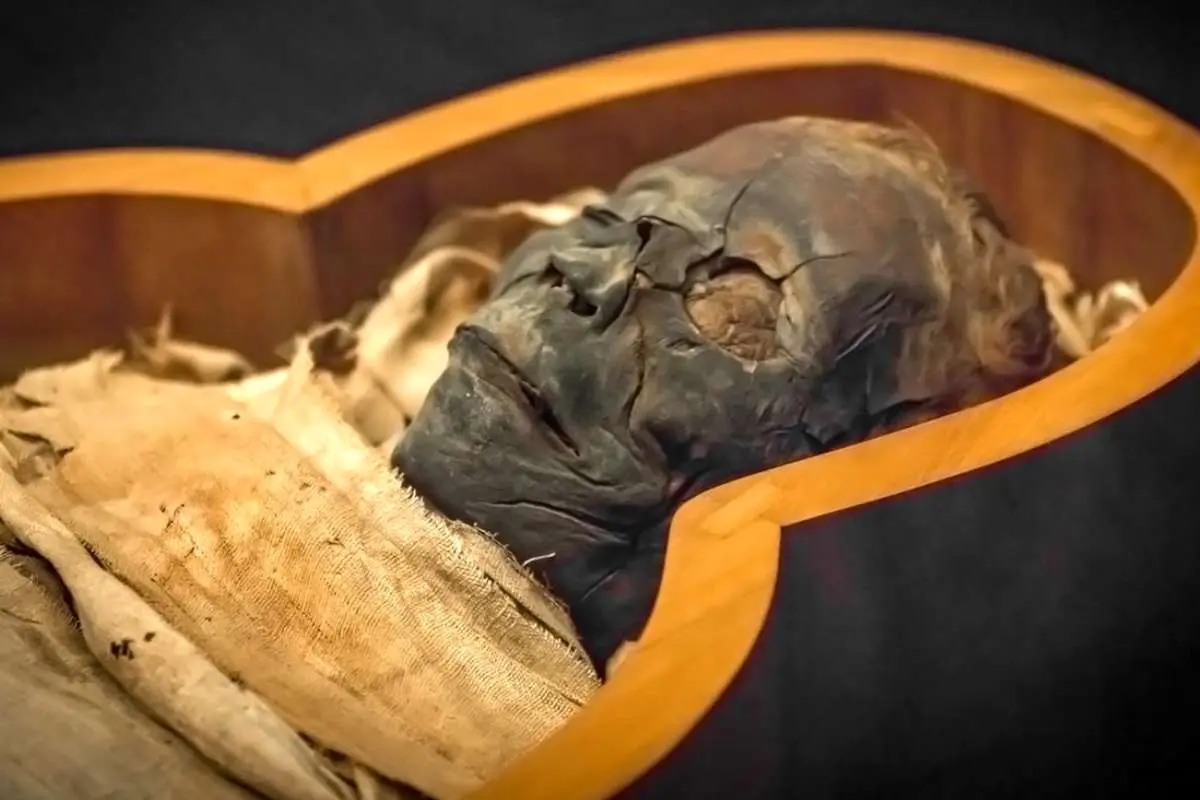 مومیایی ۳۳۰۰ سالۀ مصری «طاعون‌زده» از آب درآمد