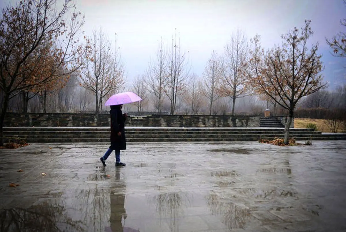 (ویدئو) آغاز باران زمستانی در تهران 