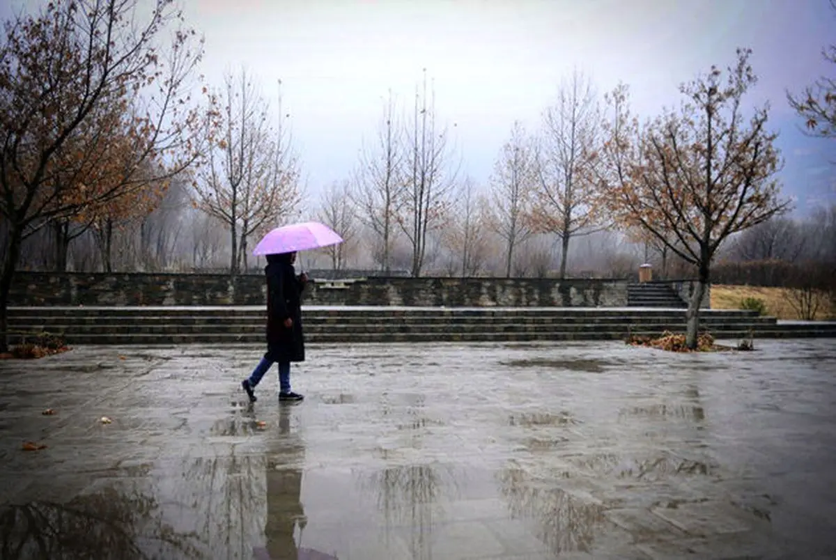 (ویدئو) آغاز باران زمستانی در تهران 