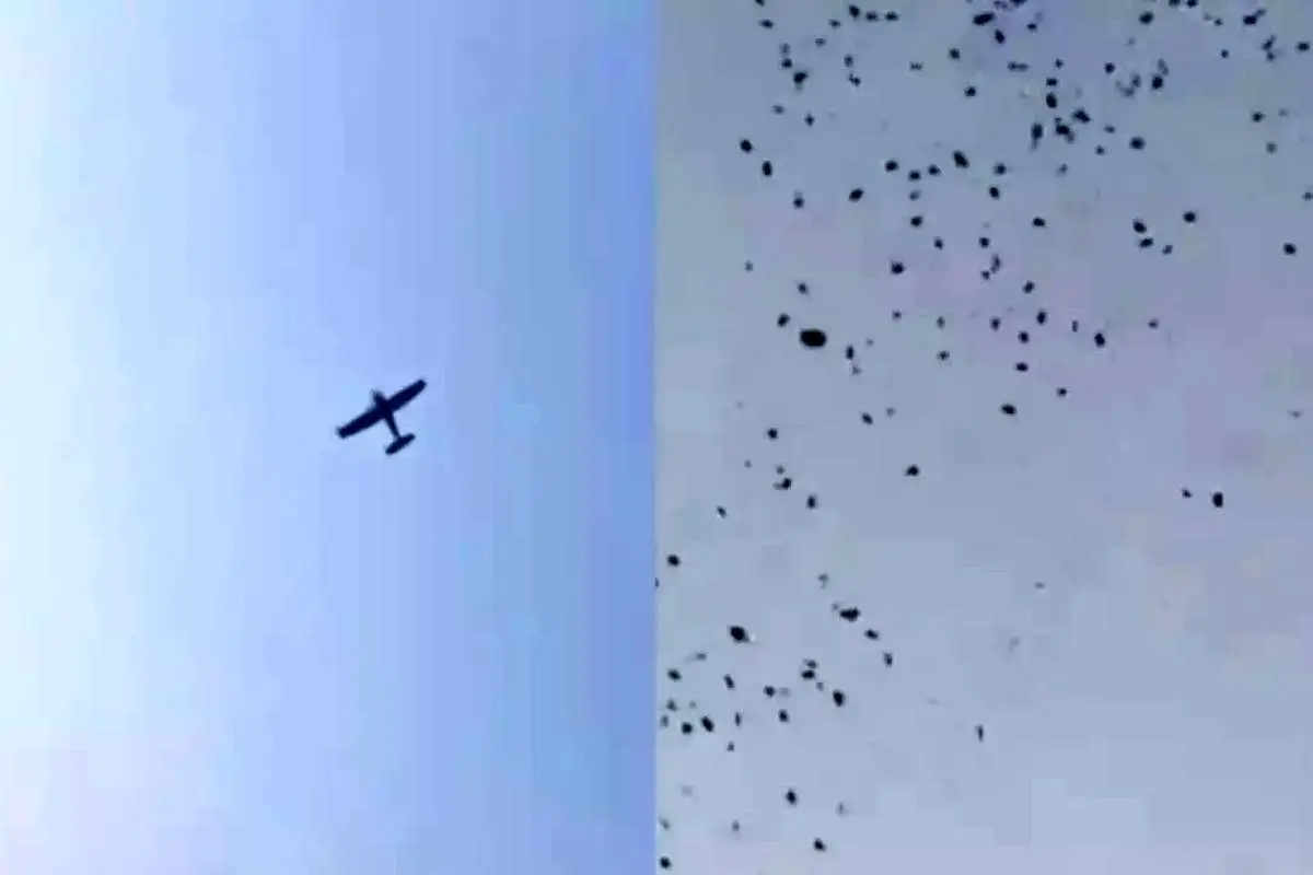 (ویدئو) پول پاشی یک هواپیمای شخصی در پاکستان