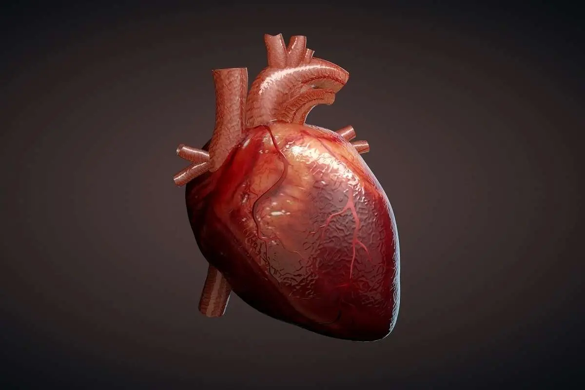 (ویدئو) علائم تنگی عروق قلبی چه زمانی ظاهر میشود؟