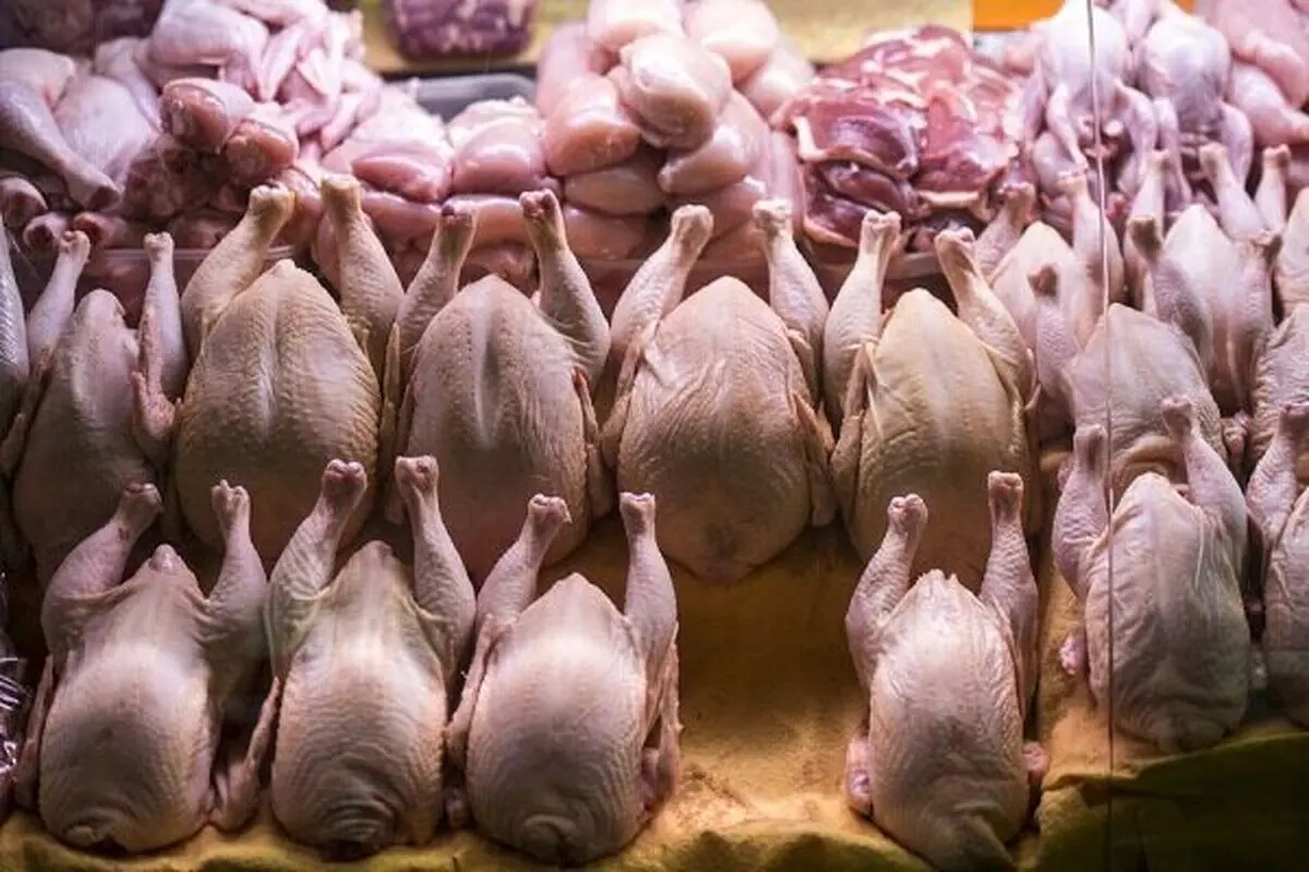 قیمت انواع گوشت مرغ امروز ۱۲ دی ۱۴۰۳