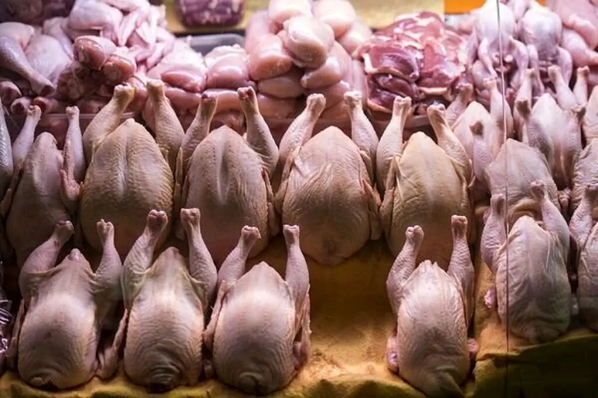 قیمت انواع گوشت مرغ امروز ۱۲ دی ۱۴۰۳