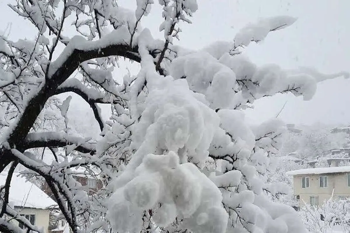 (ویدئو) سرمای بیسابقه هوا در ۲۱ استان