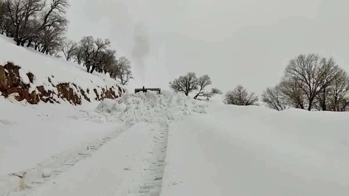 (ویدئو) بارش برف یک جادهٔ روستایی در خراسان‌جنوبی را ناپدید کرد