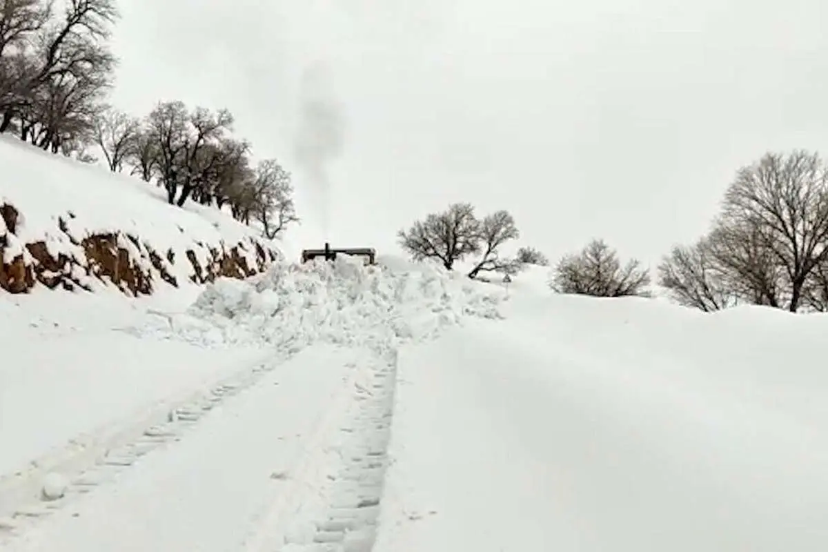 (ویدئو) بارش برف یک جادهٔ روستایی در خراسان‌جنوبی را ناپدید کرد