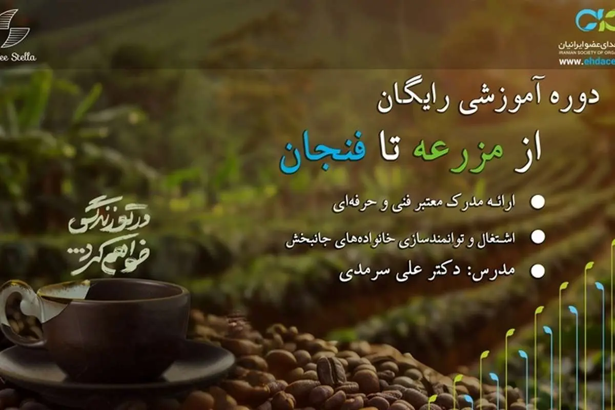 از مزرعه تا فنجان؛ اولین دوره‌ی رایگان آموزش برشته‌کاری قهوه برای خانواده‌های جانبخش اهداکننده