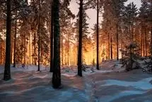 تفال به حافظ دوشنبه ۱۷ دی ۱۴۰۳؛ گفتم غم تو دارم گفتا غمت سر آید...