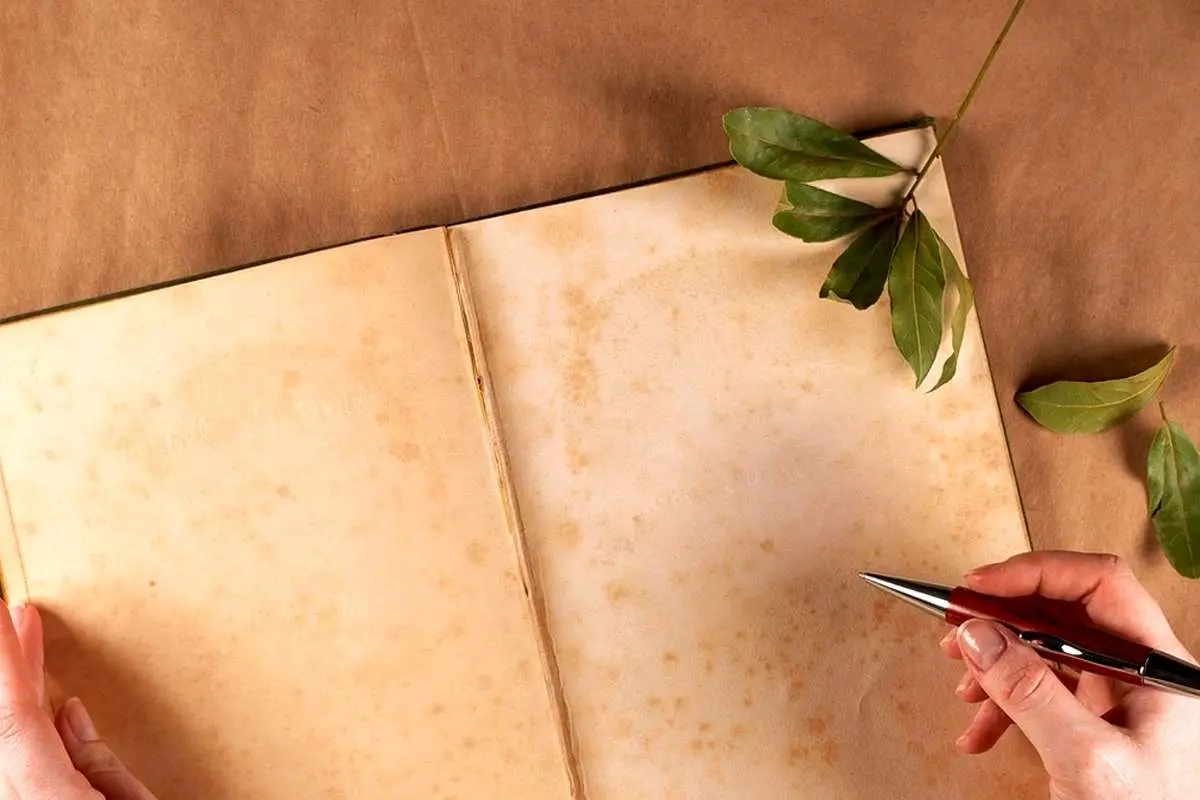 تفال به حافظ سه شنبه ۱۱ دی ۱۴۰۳؛ کی شعرتر انگیزد خاطر که حزین باشد...