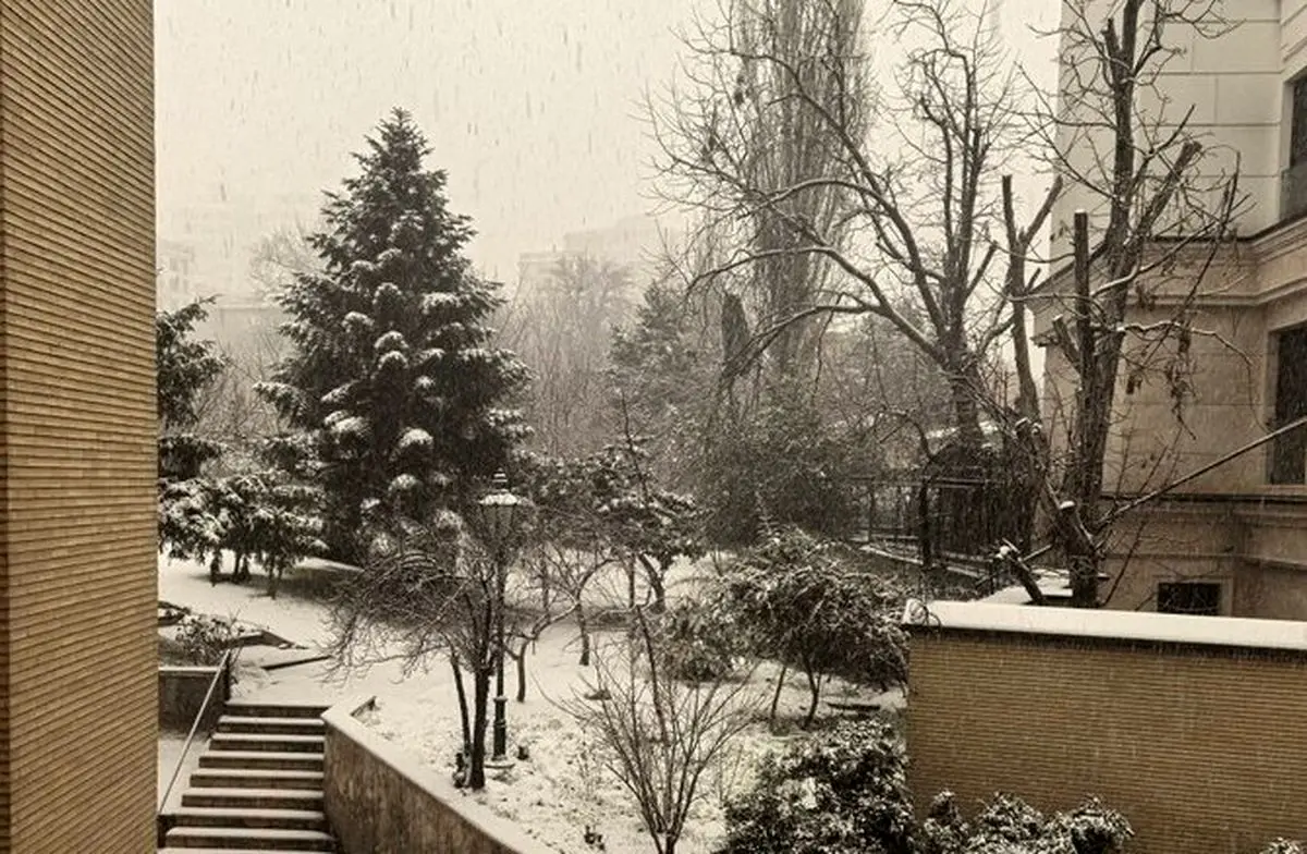 (ویدئو) بارش نخستین برف زمستانی در شمال تهران