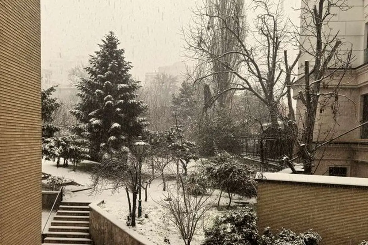 (ویدئو) بارش نخستین برف زمستانی در شمال تهران