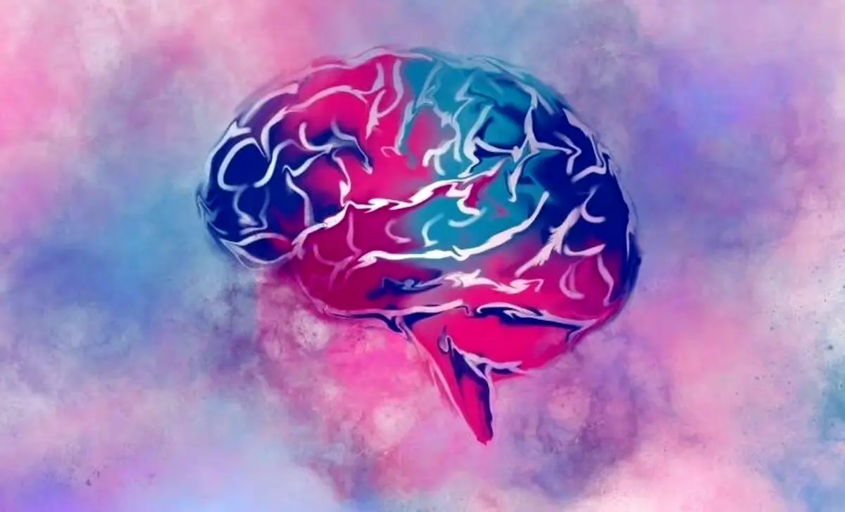نابرابری درآمدی و افزایش خطر زوال عقل و آلزایمر