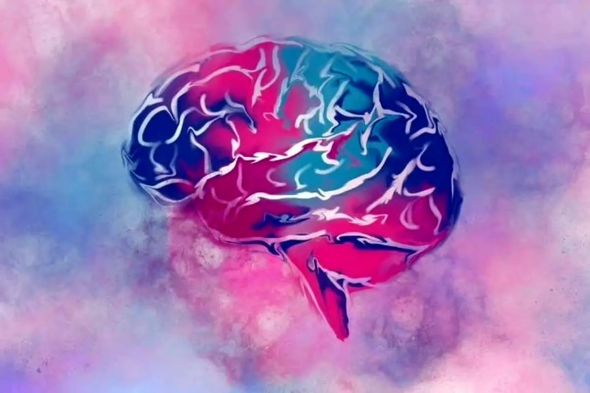 نابرابری درآمدی و افزایش خطر زوال عقل و آلزایمر