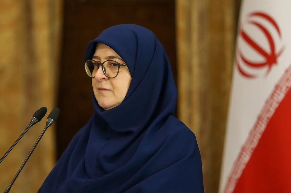 سخنگوی دولت: با هماهنگی قوا و دستور مقام معظم رهبری FATF به مجمع تشخیص برگشته است
