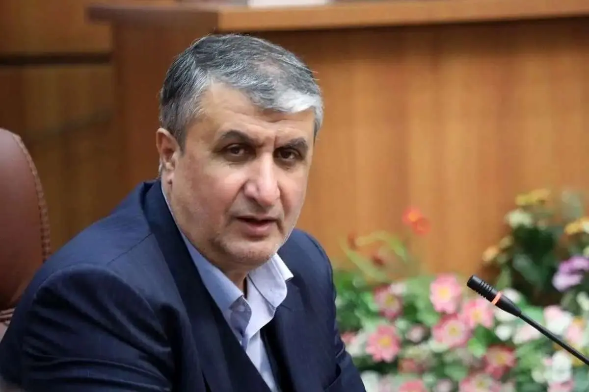 اسلامی: جو سنگینی علیه انرژی اتمی ایران برقرار شده است؛ نیاز داشتیم وارد حوزههای هستهای شویم