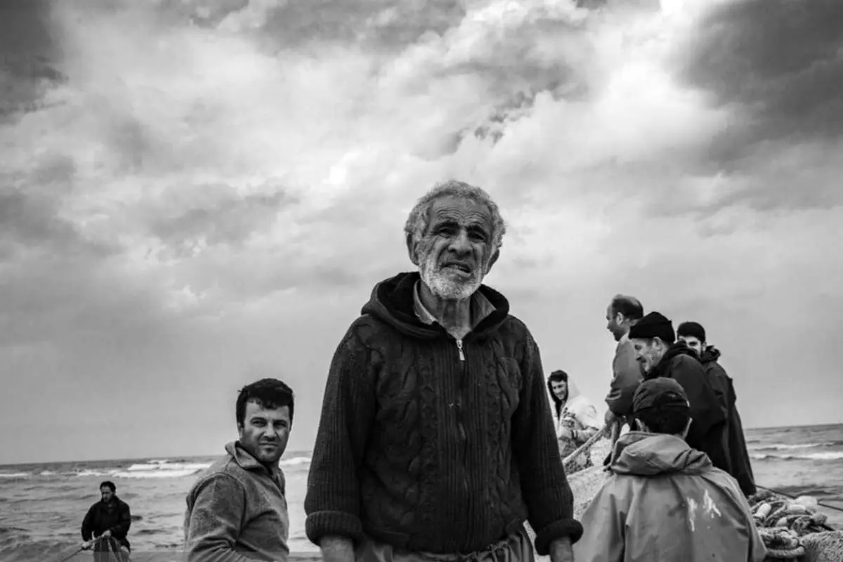 (تصاویر) صید ماهی به روش «پره» در بندرانزلی