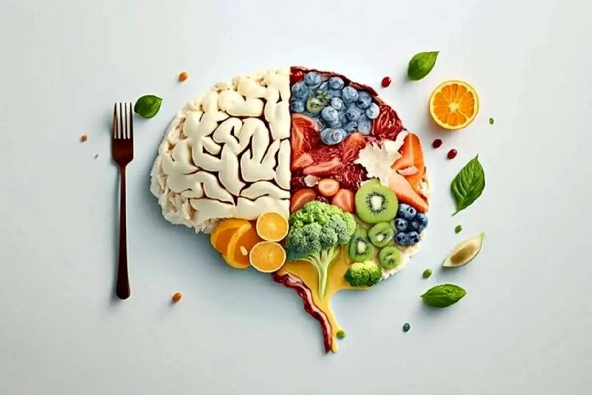 ۹ نکته برای تقویت حافظه در روایات اهل بیت