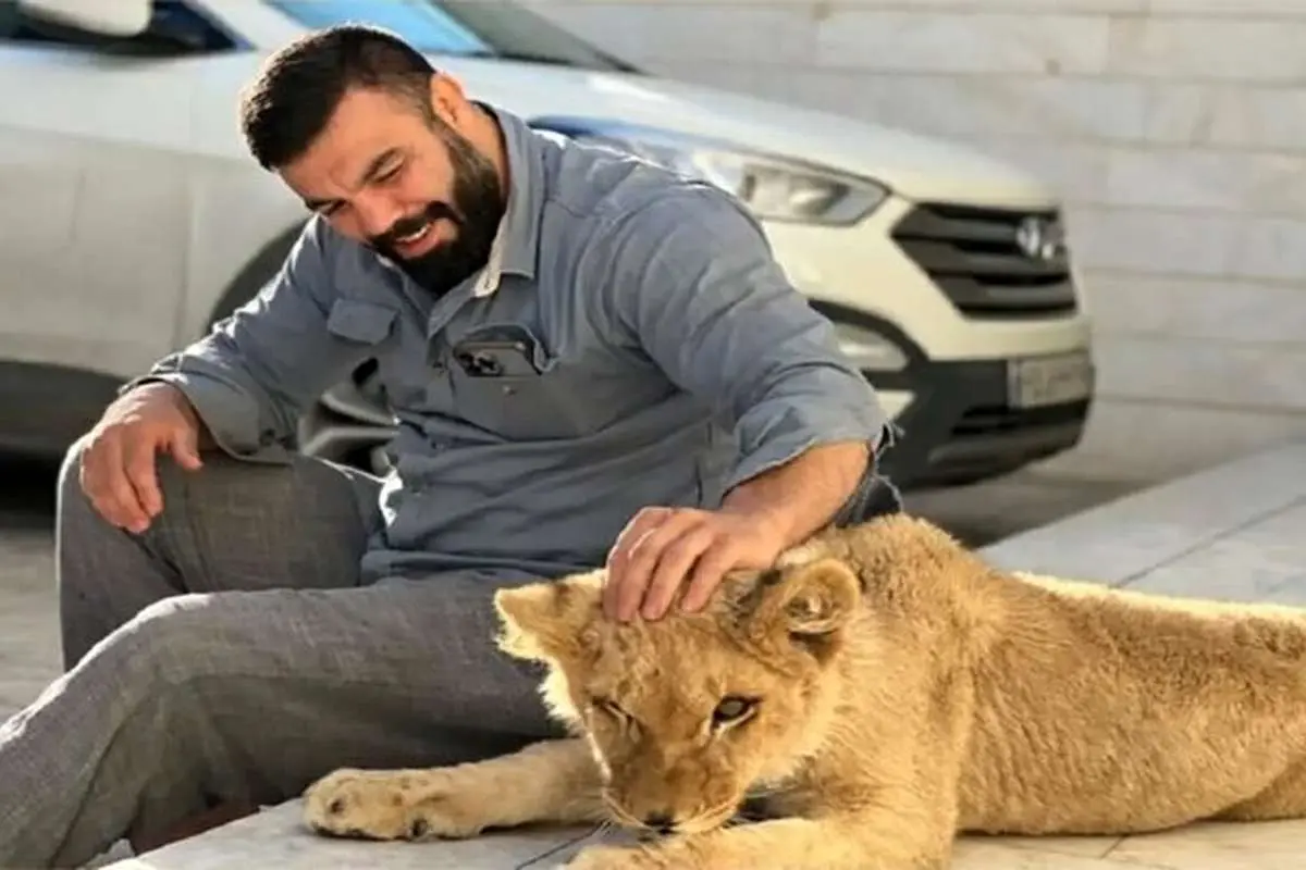 پرونده توله شیر امیرعلی اکبری به کجا رسید؟