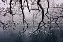 تفال به حافظ چهارشنبه ۲۶ دی ۱۴۰۳؛‌ ای هدهد صبا به سبا می‌فرستمت...