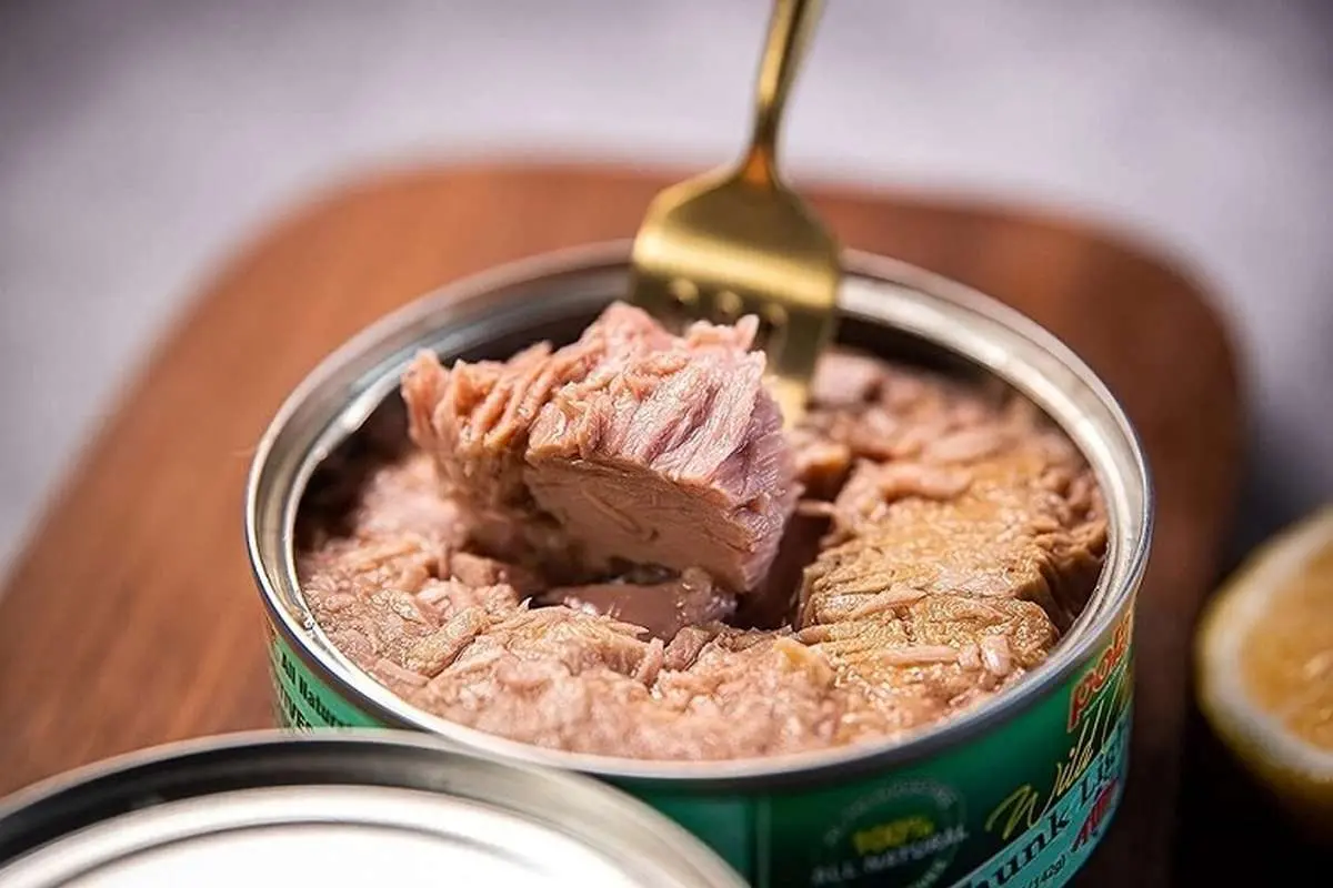کنسرو ماهی از اول بهمن ۱۴۰۳ گران می‌شود