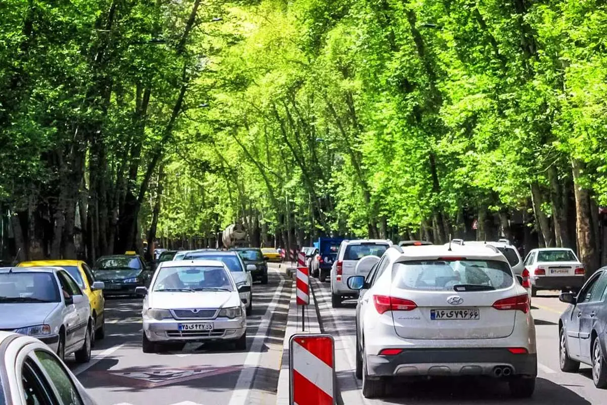 پشت پرده نابودی چنارهای خیابان ولیعصر تهران