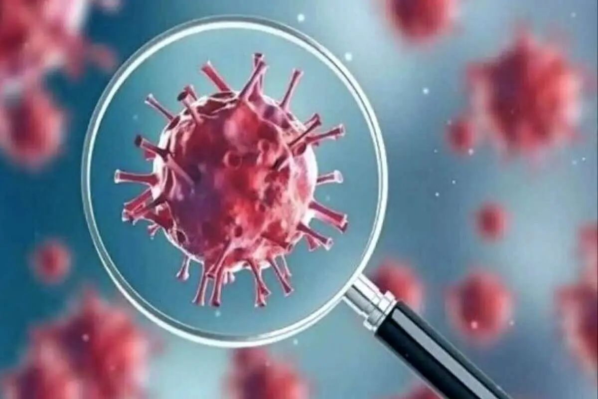واکنش وزیر بهداشت به ورود ویروس جدید به ایران