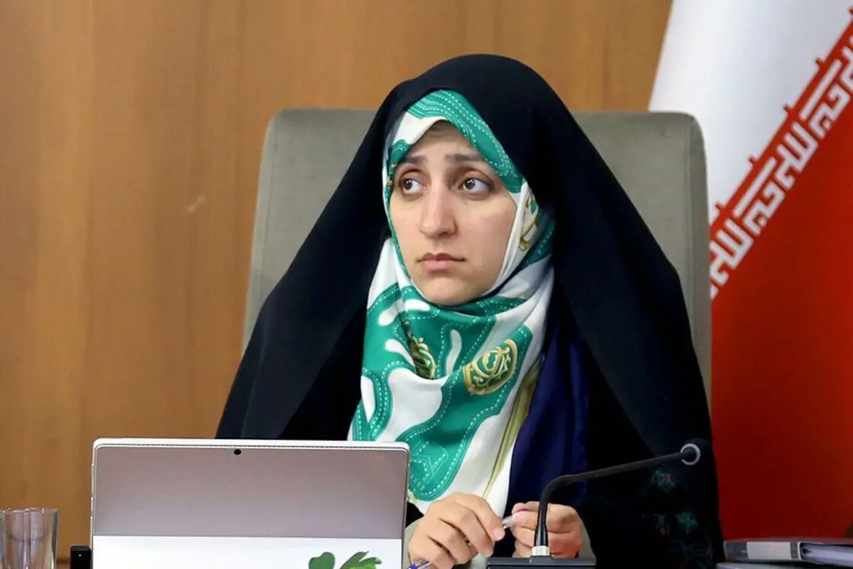 بهروز آذر: لایحه حفظ کرامت و امنیت زنان در حال پیگیری است