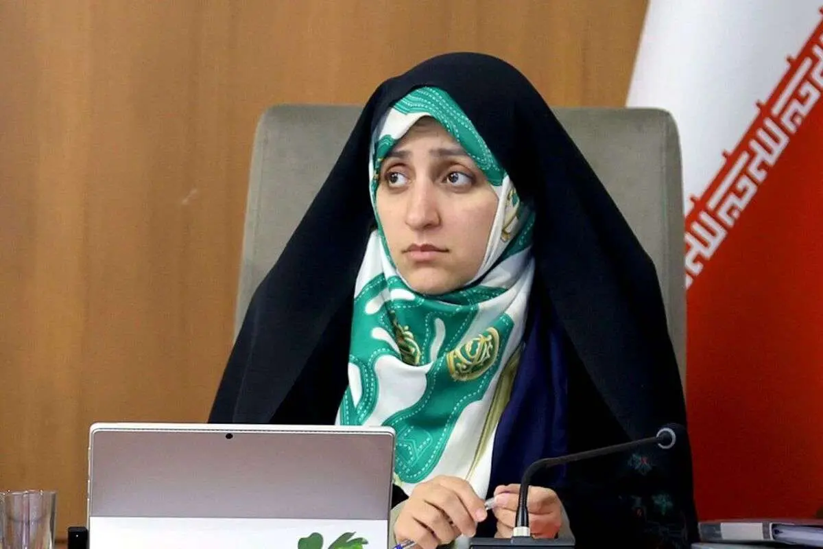 بهروز آذر: لایحه حفظ کرامت و امنیت زنان در حال پیگیری است