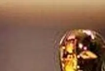 پاسخ آکادمی به احتمال لغو مراسم اسکار