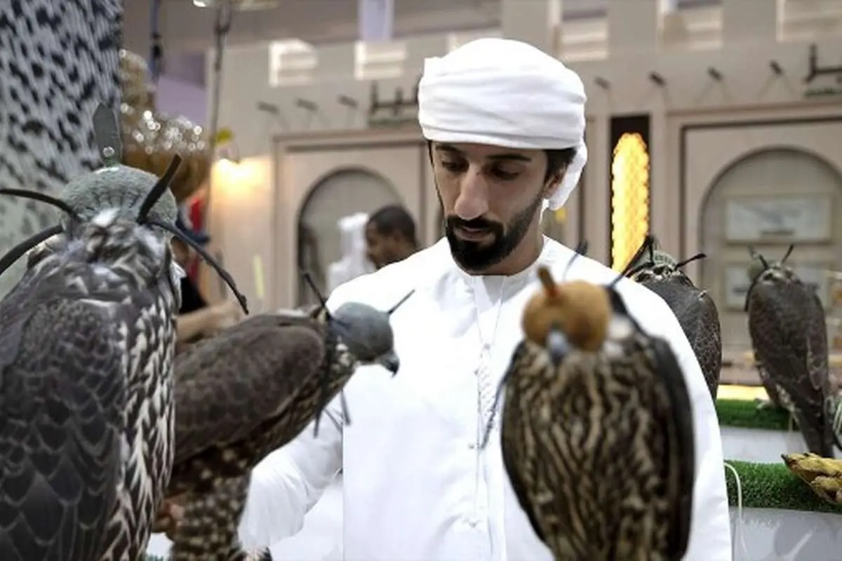(ویدئو) یک مسافر با شاهین شکاری در هواپیما خبرساز شد