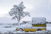 تفال به حافظ دوشنبه ۱ بهمن ۱۴۰۳؛  اگر آن طایر قدسی ز درم بازآید....
