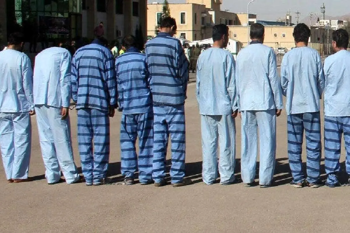 سرقت از یک باغ توسط باند ۹ نفره؛ سارق نگهبان سابق باغ بود