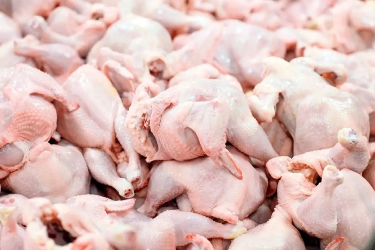 قیمت مرغ امروز ۶ بهمن ۱۴۰۳؛ فیله چند؟