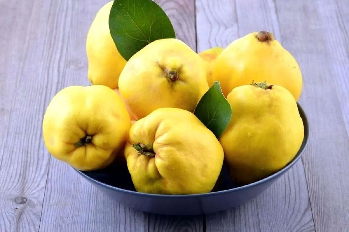 این میوه زمستانی کلید آرامش شماست