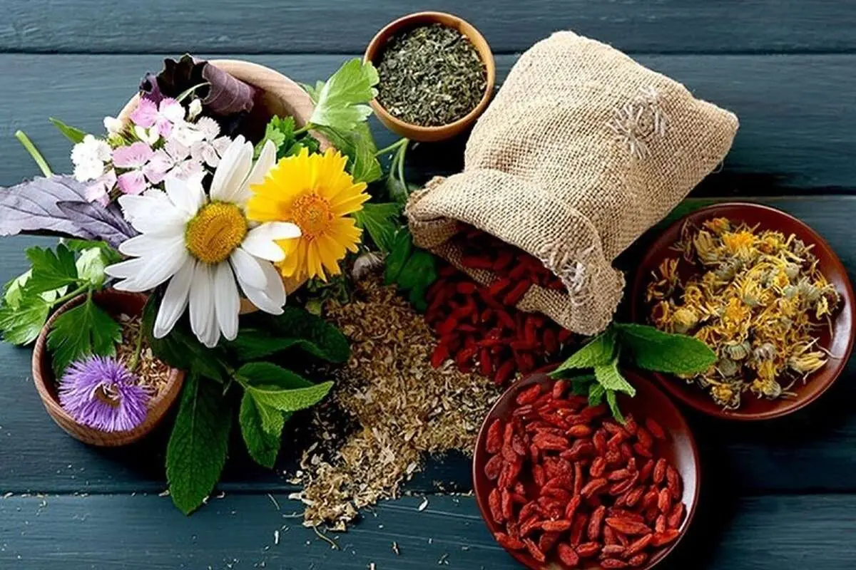 خطرات گیاه درمانی که از آن بی اطلاعید