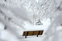 تفال به حافظ چهارشنبه ۳ بهمن ۱۴۰۳؛ خیال روی تو، چون بگذرد به گلشن چشم....